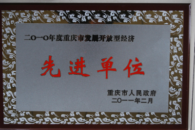 “先進(jìn)單位”榮譽(yù)稱號(hào)-2010年度